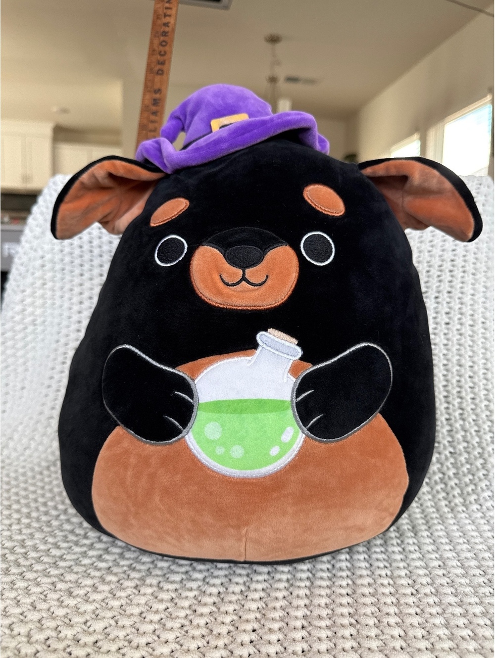 Squishmallows Halloween Black Dog Plush with Witch Hat